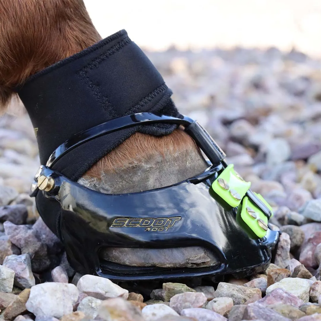 Endurance Gaiters