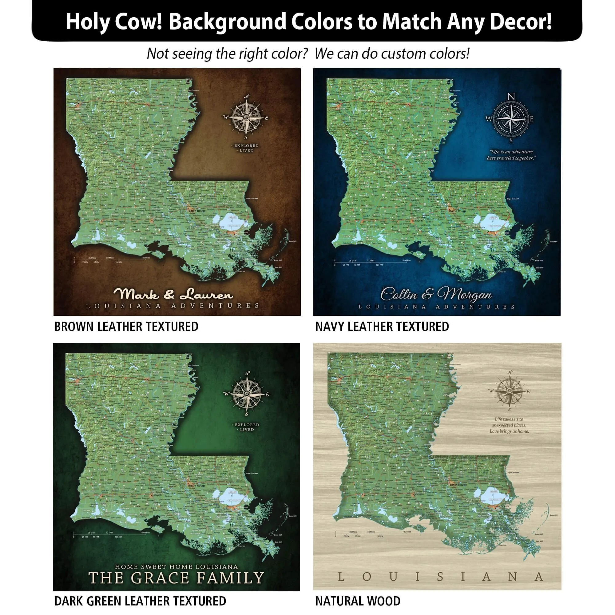 Louisiana Push Pin Terrain Map