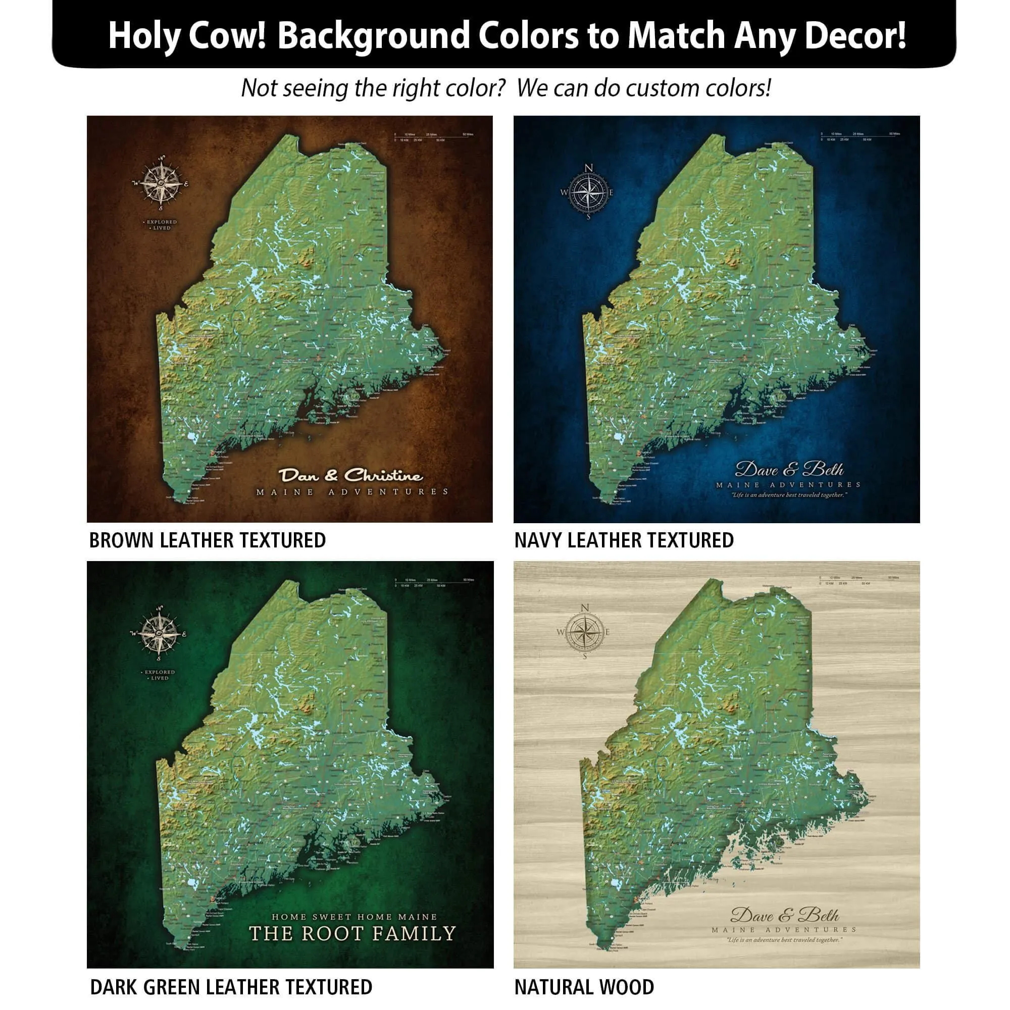 Maine Push Pin Terrain Map