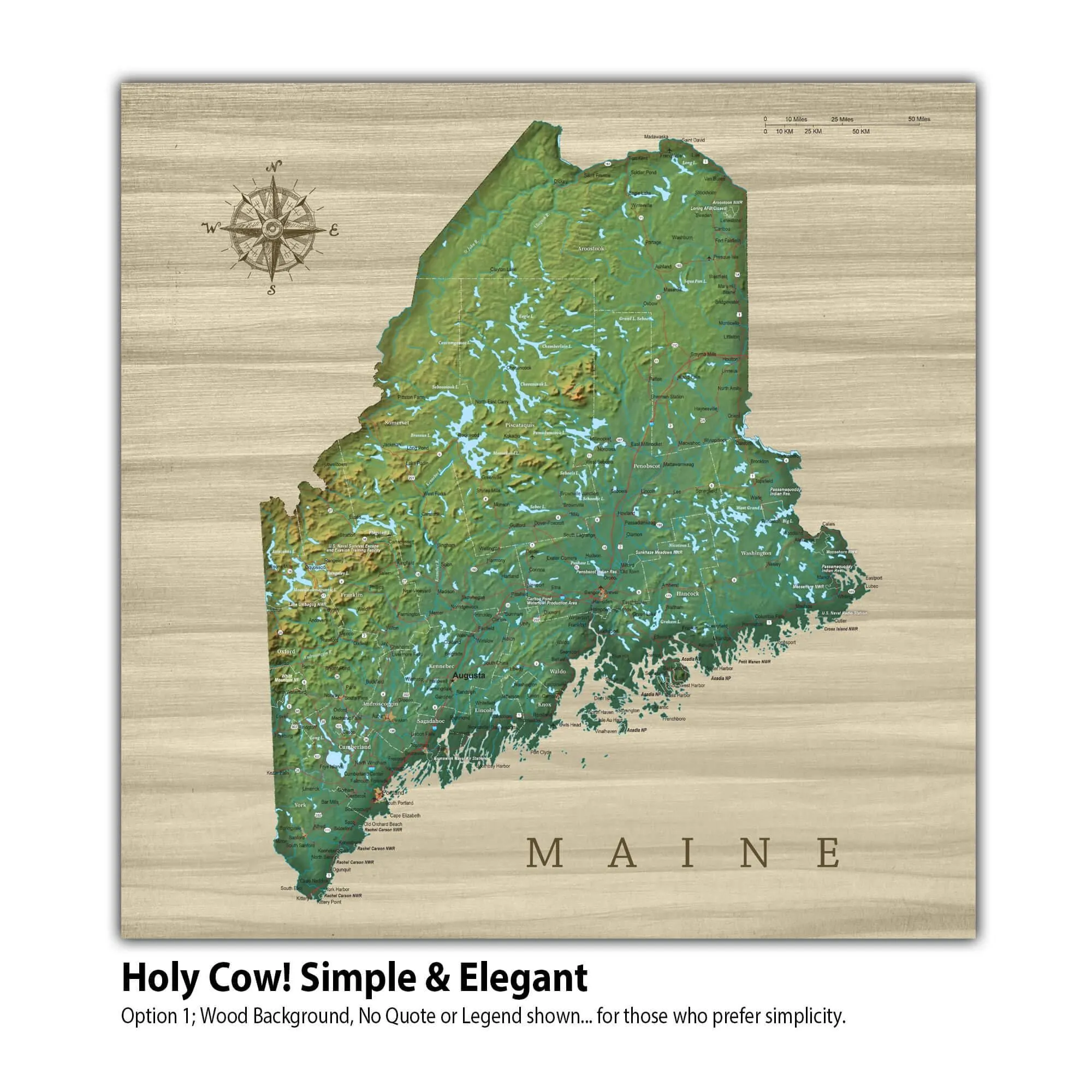 Maine Push Pin Terrain Map